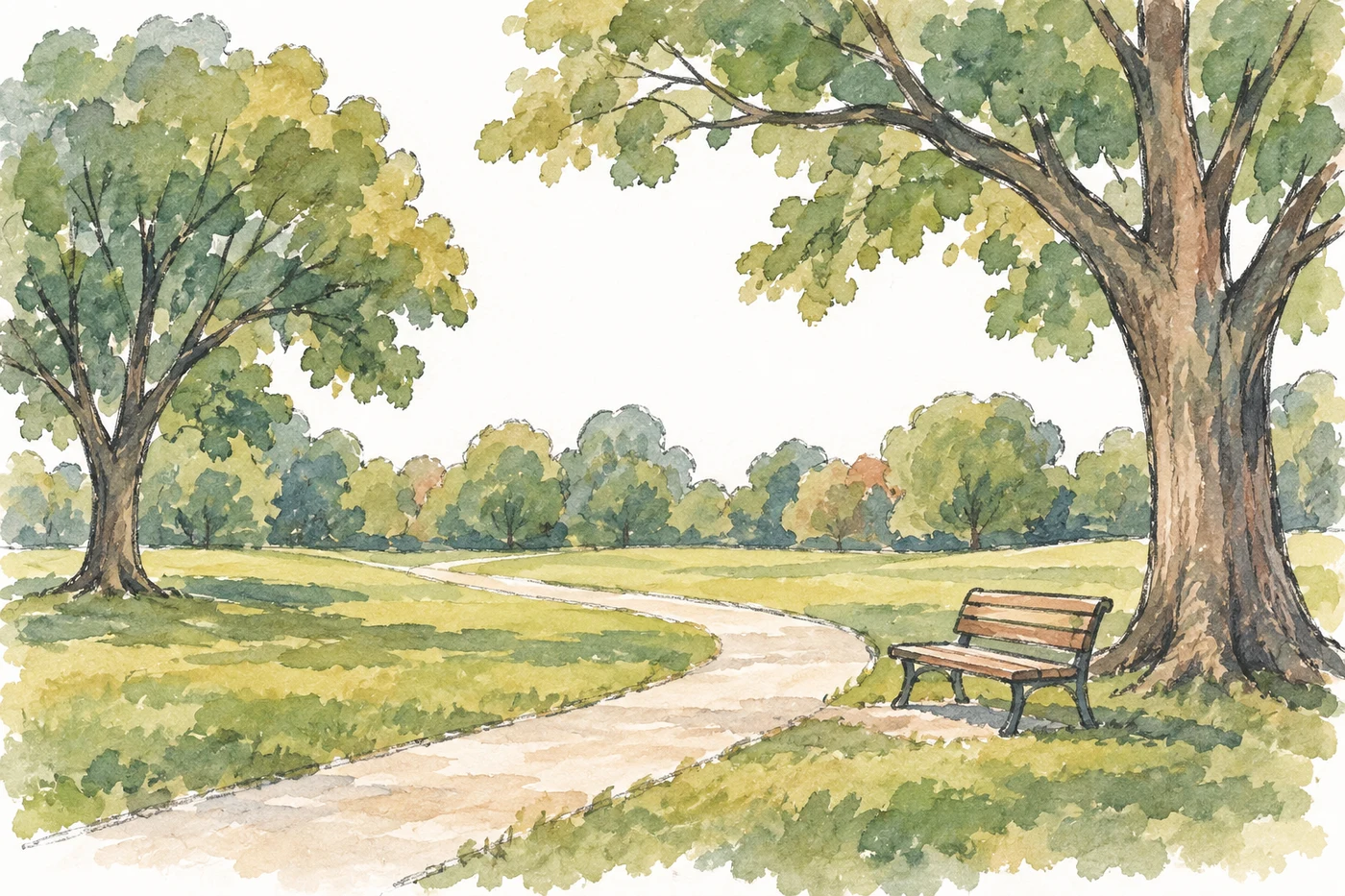 Large old trees and dense greenery in an urban park